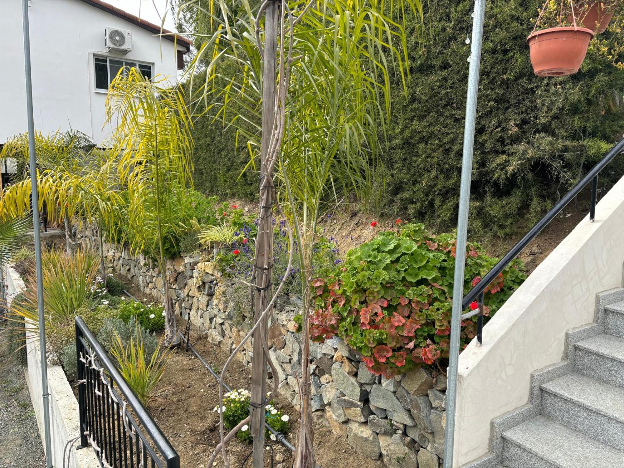 Sofros Valley Hills Chalet Agios Mamas 외부 사진