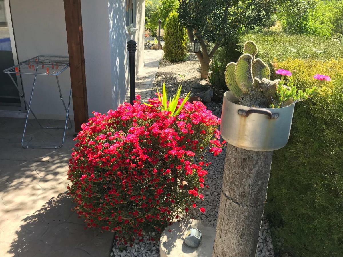 Sofros Valley Hills Chalet Agios Mamas 외부 사진